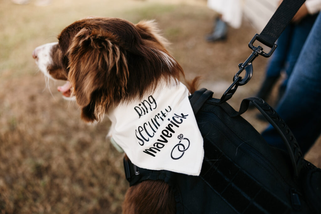 Country Style Florida Wedding