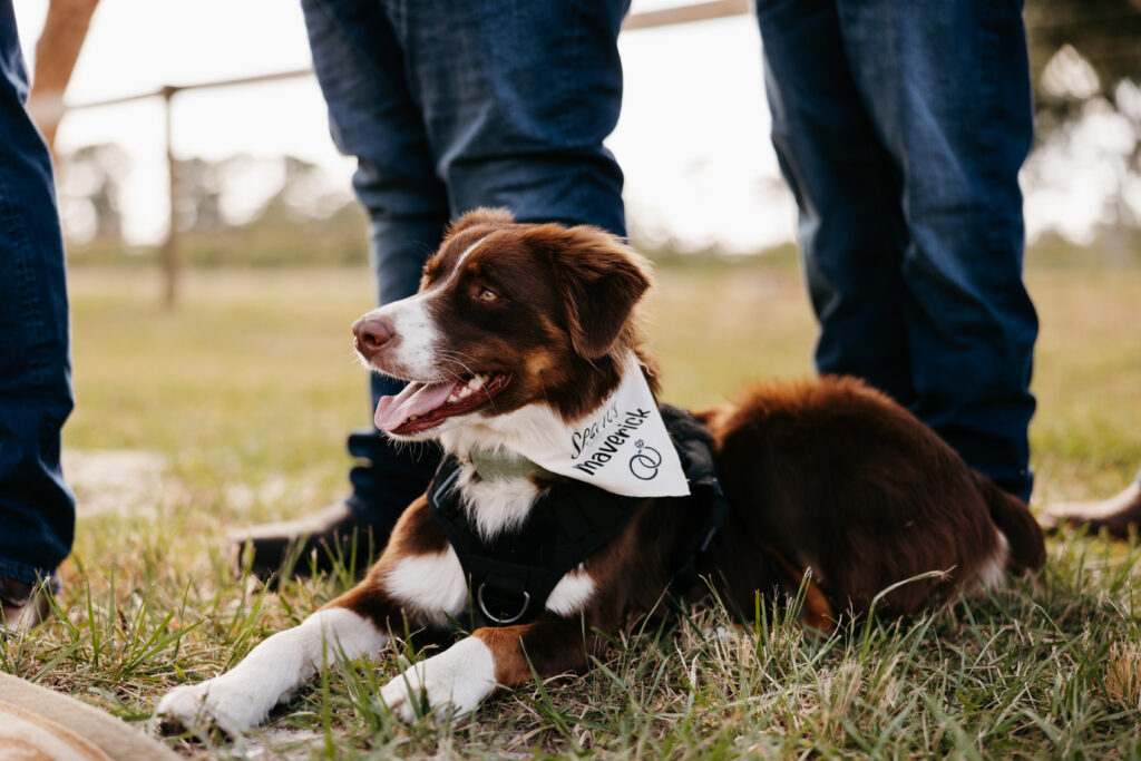 Country Style Florida Wedding