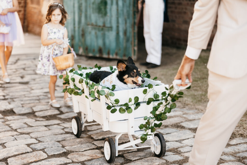 savannah georgia wedding photos